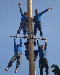 Maibaum.jpg